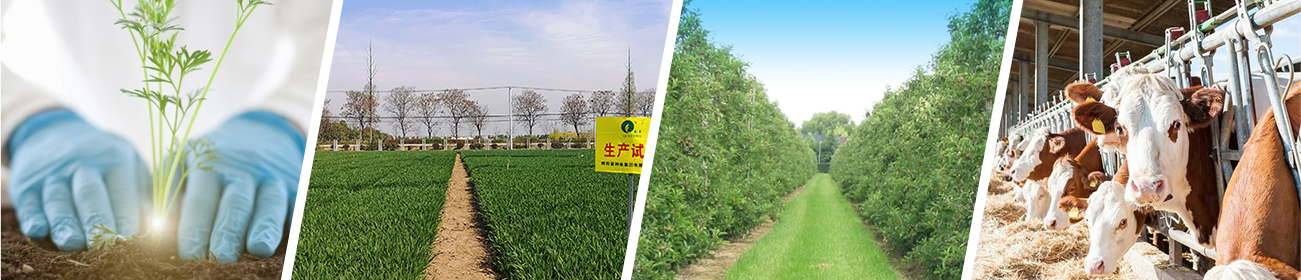 大宝娱乐-LG游戏|PT游戏|CQ9游戏