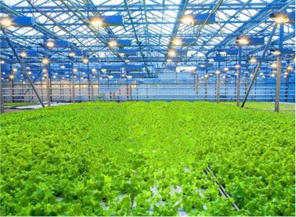 大宝娱乐-LG游戏|PT游戏|CQ9游戏