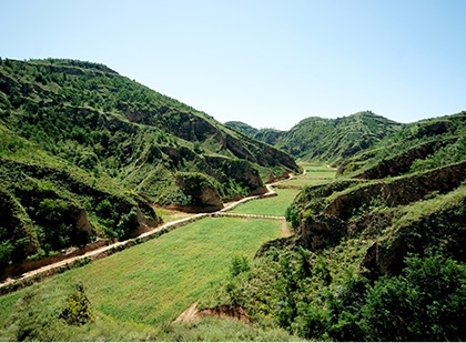 大宝娱乐-LG游戏|PT游戏|CQ9游戏