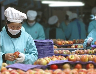 大宝娱乐-LG游戏|PT游戏|CQ9游戏